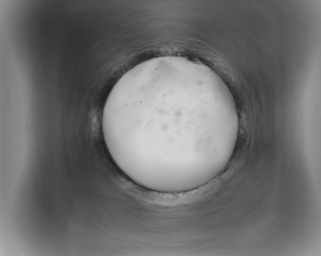 X0000111140037200907141330