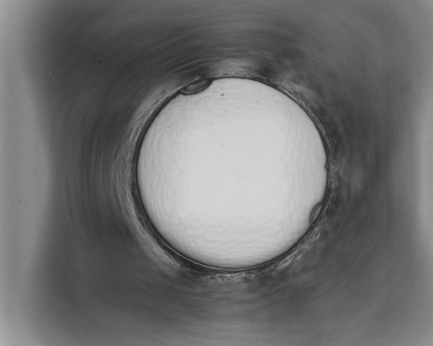 X0000111140049200907141329