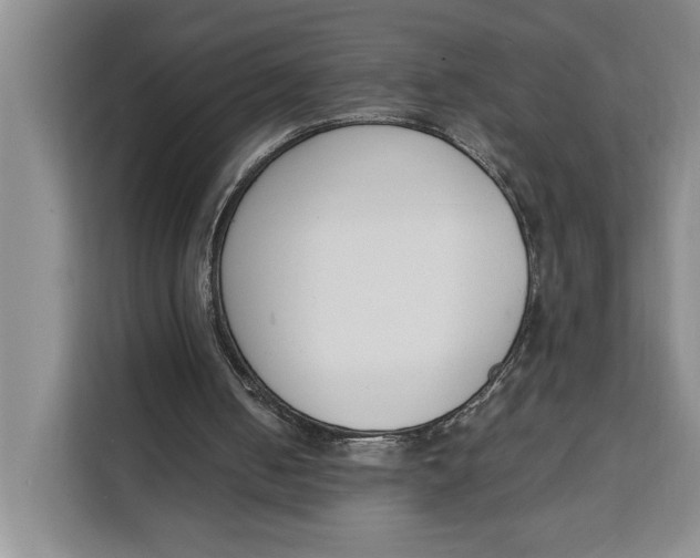 X0000111140050200907141329