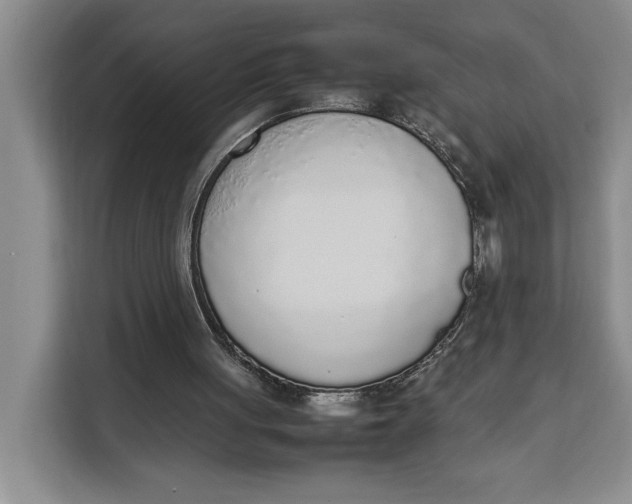 X0000111140051200907141329