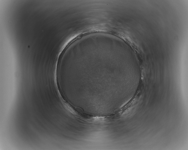 X0000111140052200907141329