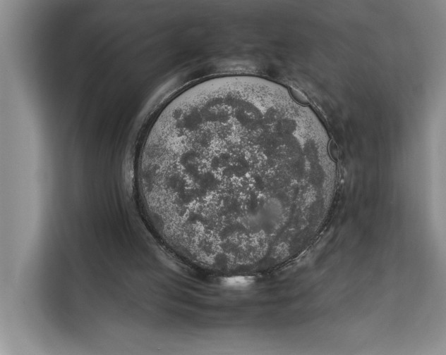 X0000111140053200907141329