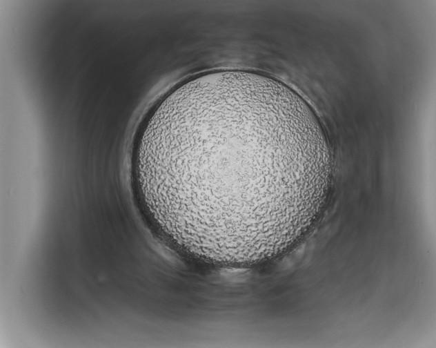 X0000111140055200907141329