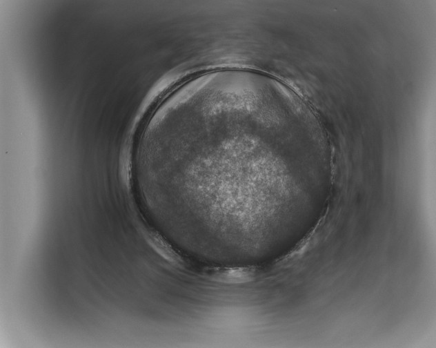 X0000111140056200907141329