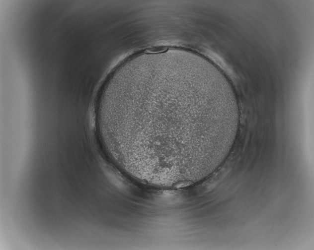 X0000111140060200907141329