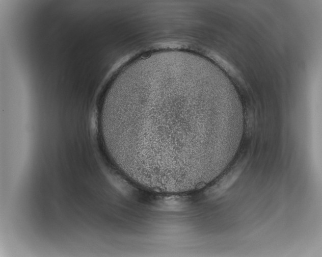 X0000111140064200907141330