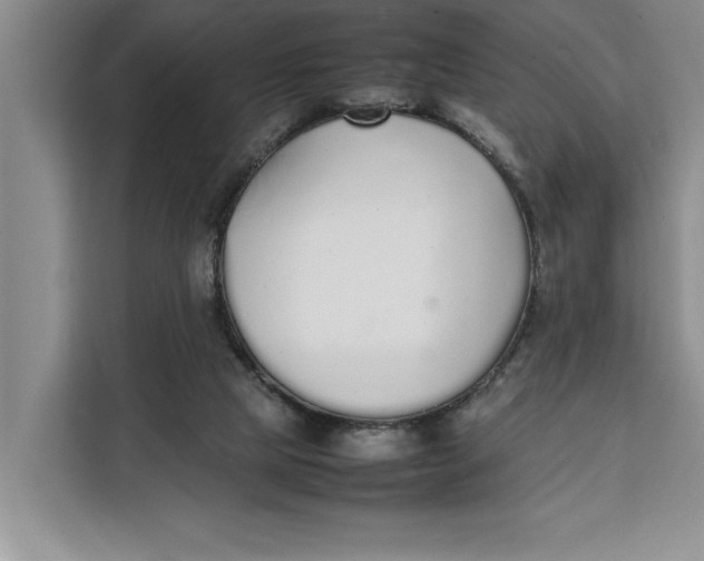 X0000111140065200907141330