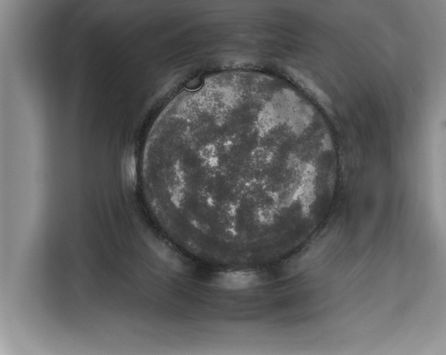 X0000111140067200907141330