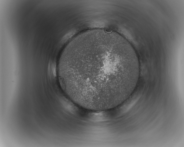 X0000111140068200907141330