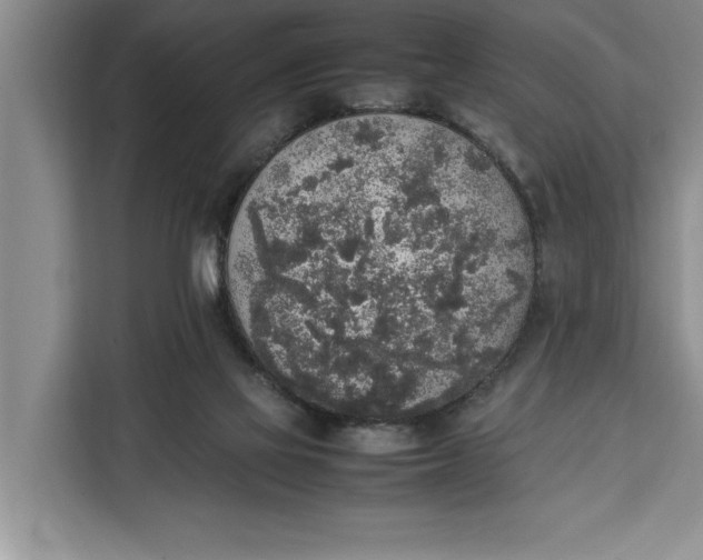 X0000111140069200907141330