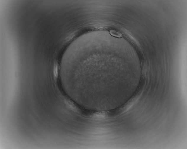 X0000111140076200907141330