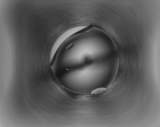 X0000111140078200907141330