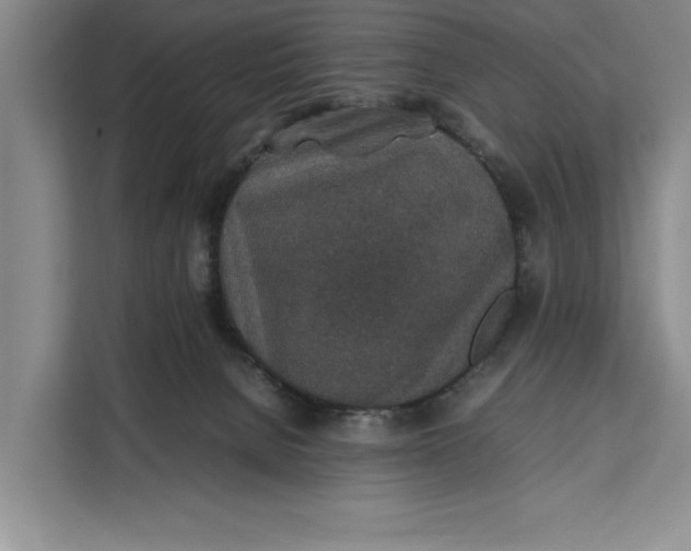 X0000111140080200907141330