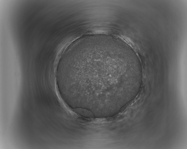 X0000111140097200907141329