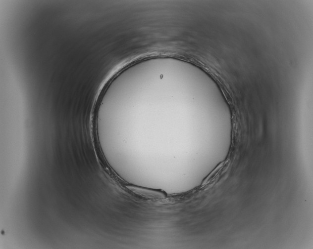 X0000111140100200907141329