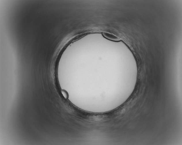 X0000111140103200907141329