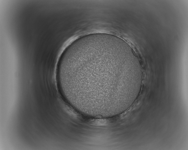 X0000111140104200907141329