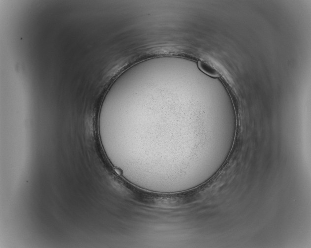 X0000111140105200907141329