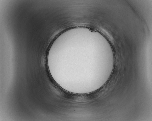 X0000111140107200907141329