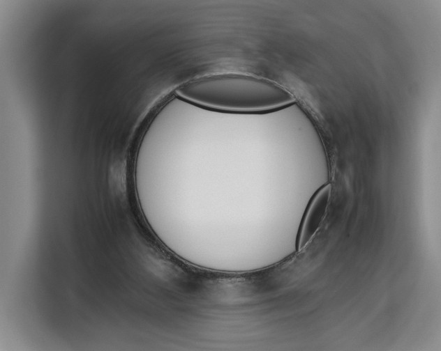 X0000111140108200907141329