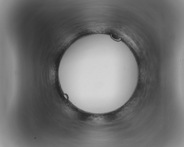 X0000111140113200907141329