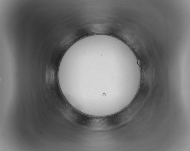 X0000111140117200907141329