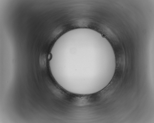 X0000111140120200907141329