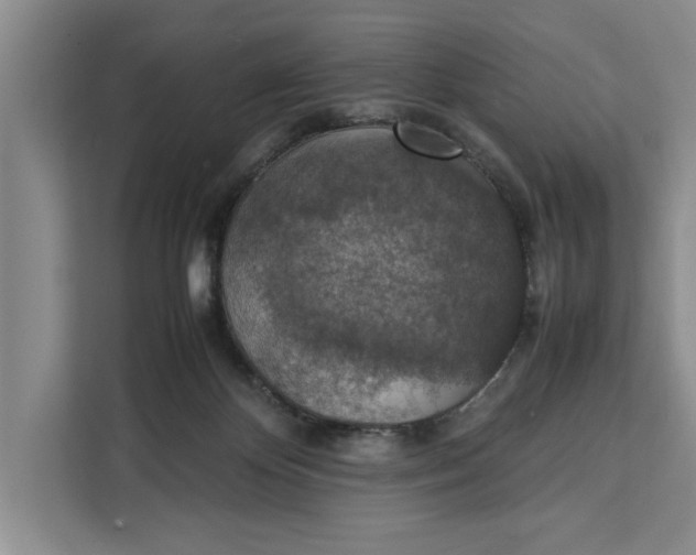 X0000111140124200907141329