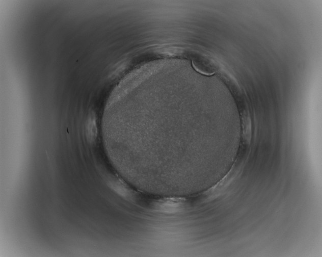 X0000111140128200907141329