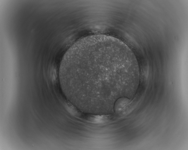 X0000111140130200907141329