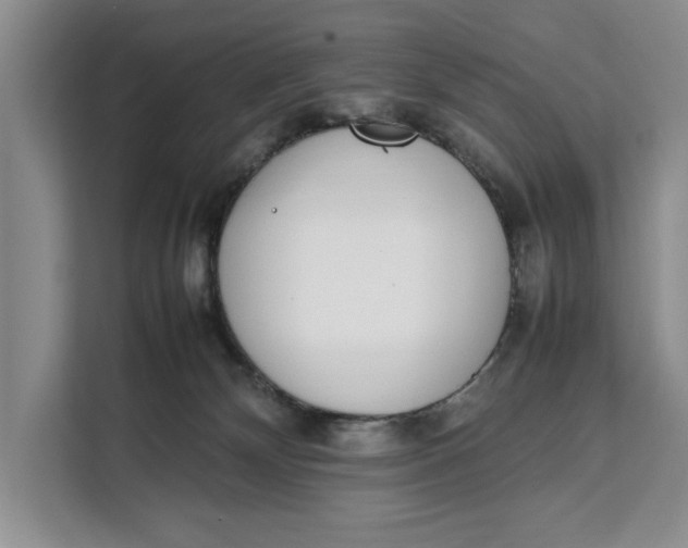 X0000111140132200907141329