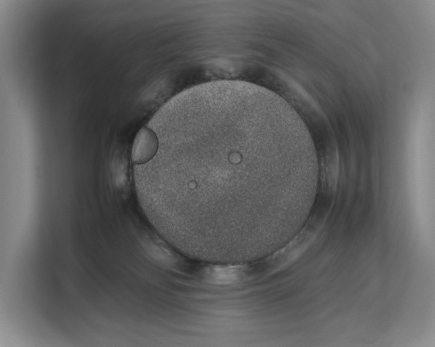 X0000111140134200907141329