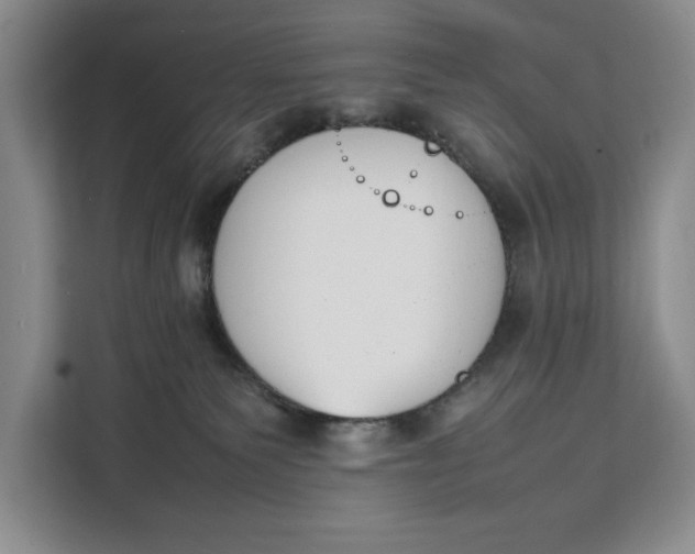 X0000111140135200907141329