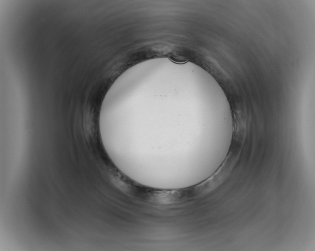 X0000111140136200907141329