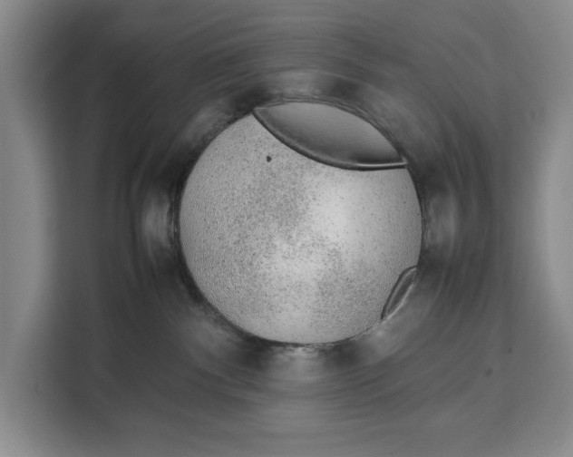 X0000111140140200907141329