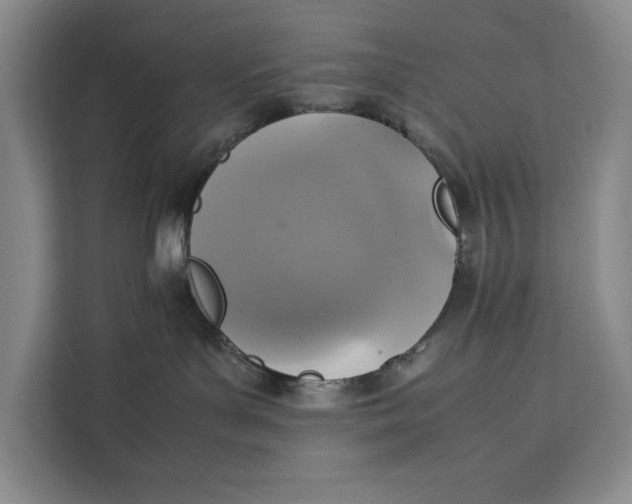 X0000111140143200907141329