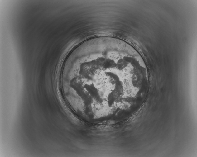 X0000111140145200907141328