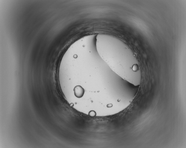 X0000111140146200907141328