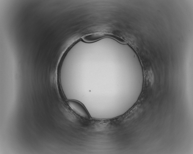 X0000111140148200907141328