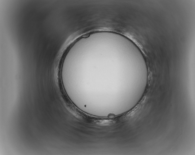 X0000111140151200907141328