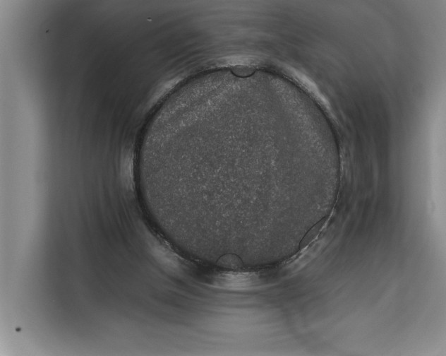 X0000111140154200907141328