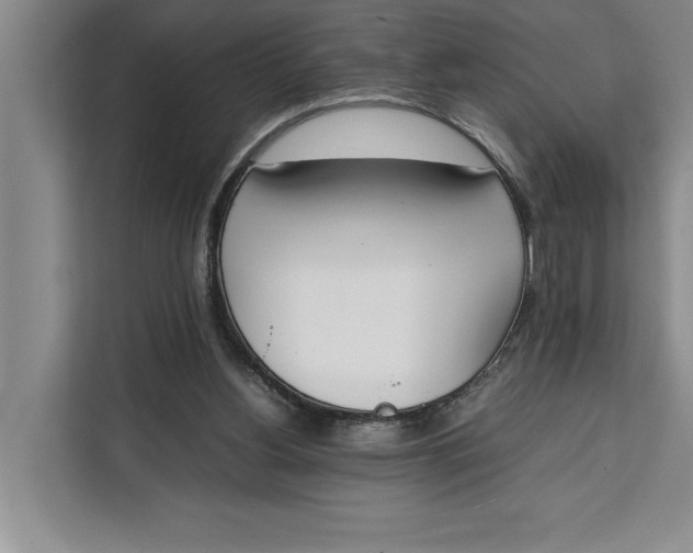 X0000111140156200907141328