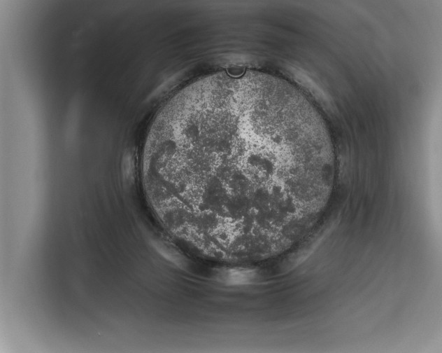 X0000111140165200907141328