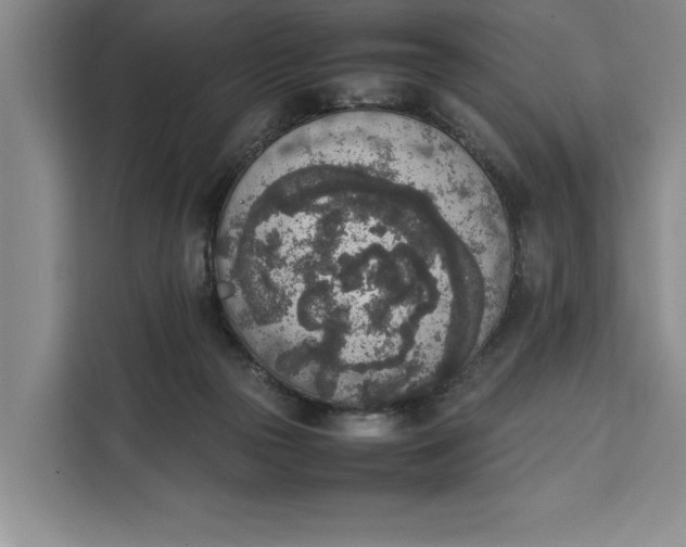 X0000111140169200907141328