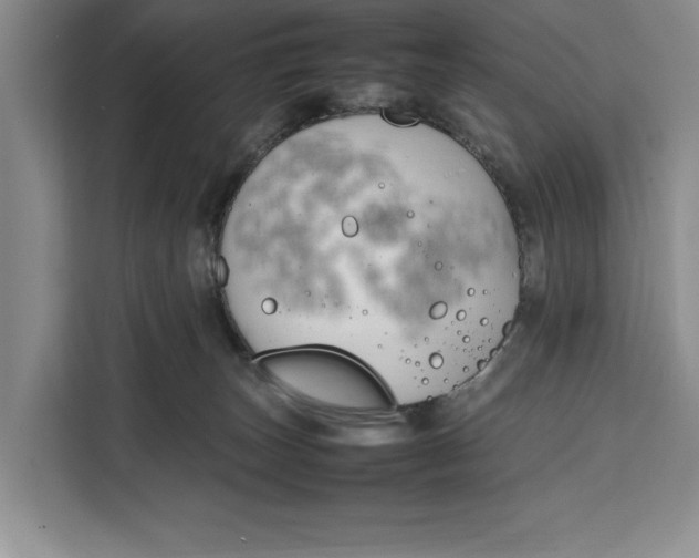 X0000111140179200907141329