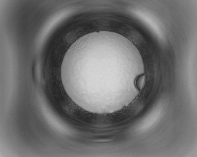 X0000111140189200907141329