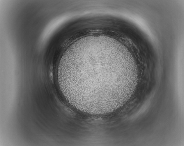 X0000111140194200907141328