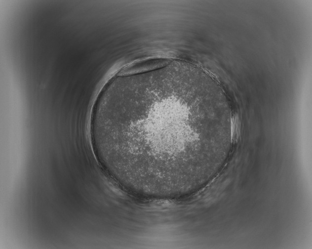 X0000111140195200907141328