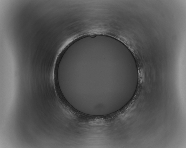 X0000111140196200907141328