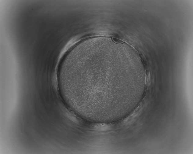 X0000111140198200907141328